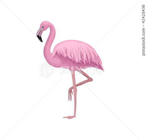 Detailed vector icon of beautiful flamingo with gentle pink feathers, long legs and neck. Exotic Detailed vector icon of beautiful flamingo with gentle pink feathers, long legs and neck. Exotic 41428436