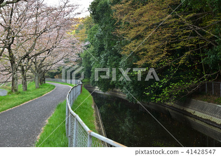 Mine Numeral Field: Green Healthy Road 41428547