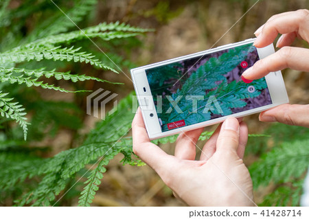 Smartphone smartphone Nature shoot hand up spider Smartphone smartphone Nature shoot hand up spider 41428714