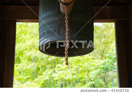 Bell fresh green Bell fresh green 41428730