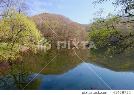 Ozawa swamp in early spring (Urasanbadai / Kitashiobara village) 41429733
