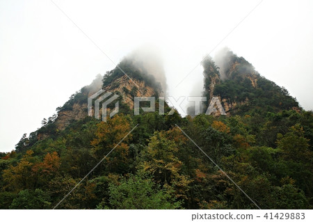 張家界 張家界 41429883