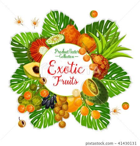 Exotic fruit and berry poster with tropical palm 41430131