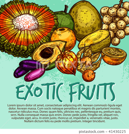 Exotic fruit and tropical berry sketch poster Exotic fruit and tropical berry sketch poster 41430225