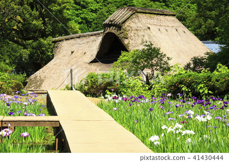 千家 千家 41430444