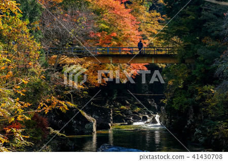 Odo名谷（秋季） 41430708