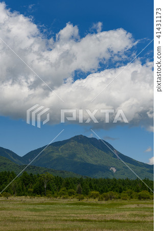 Odashirogagahara and Tarouyama in early summer 41431173