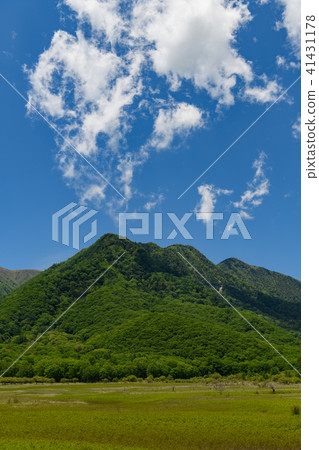 Odashirogahara in early summer 41431178