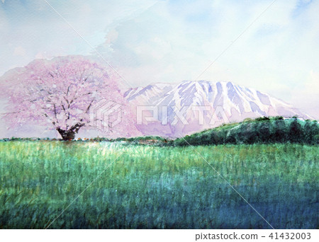 Koiwai農場Koiwai農場1櫻花一棵櫻花 41432003