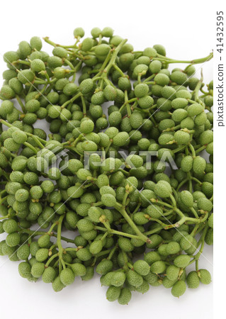 花椒 花椒 41432595