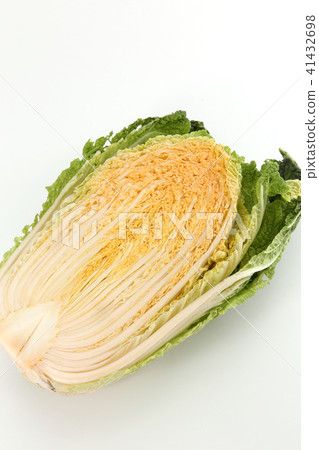 Cabbage Cabbage 41432698