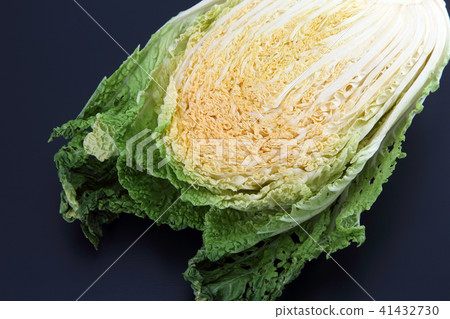 Cabbage Cabbage 41432730