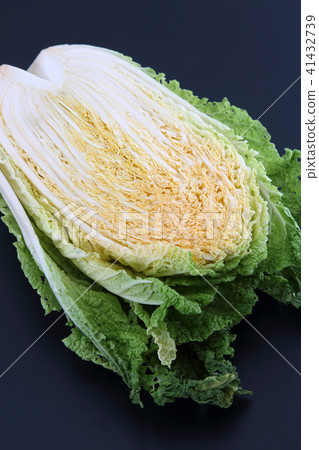 中國的白菜 41432739
