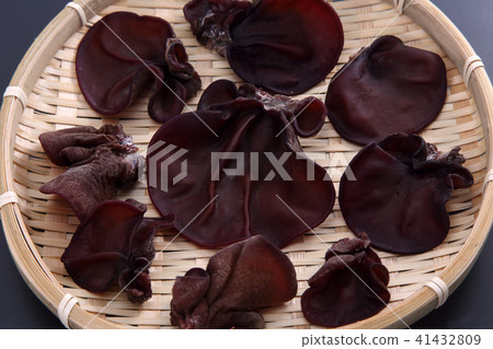 雲耳 雲耳 41432809