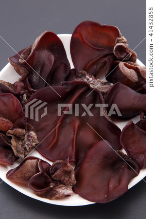 Greenhouse Greenhouse 41432858