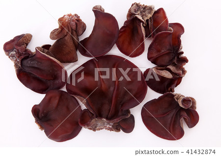 Greenhouse Greenhouse 41432874