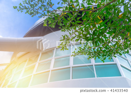 office windows green tree eco building 41433540