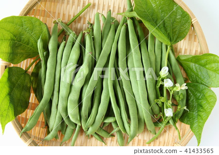 綠豆 綠豆 41433565