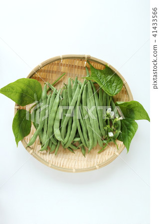 綠豆 綠豆 41433566