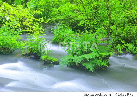 青森Oiru Azease山間溪流 青森Oiru Azease山間溪流 41433973