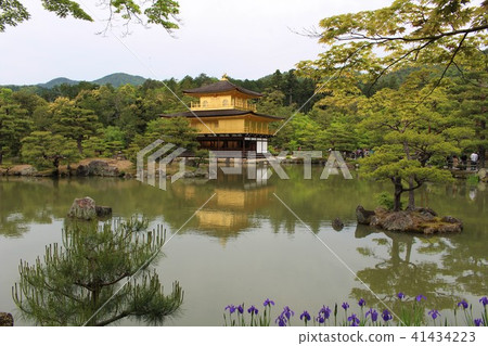 京都金閣寺 京都金閣寺 41434223