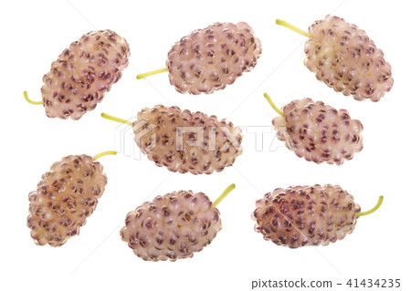 Fresh ripe white mulberry berries isolated on white background. Top view. Flat lay 41434235