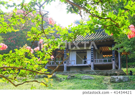 我死的那一天, 我死的那一天, 41434421