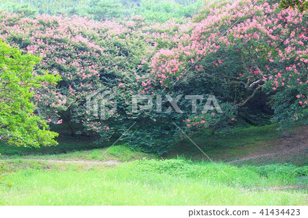 The day that I die, 41434423