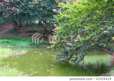 The day that I die, 41434424