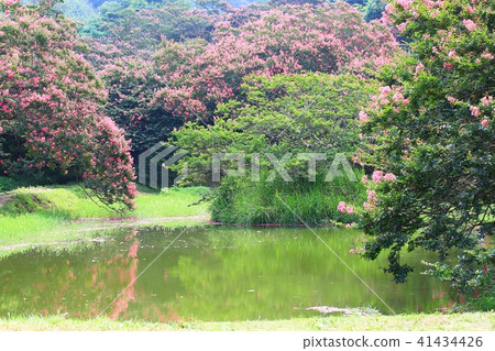 我死的那一天， 41434426