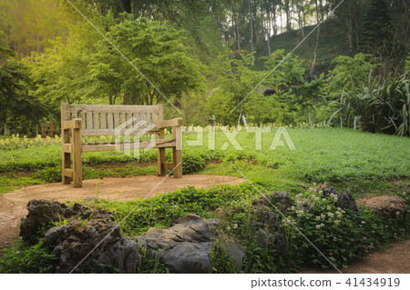 Bench wood in the garden, In sunlight beam. Bench wood in the garden, In sunlight beam. 41434919