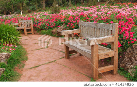 Bench wood in the garden. Bench wood in the garden. 41434920