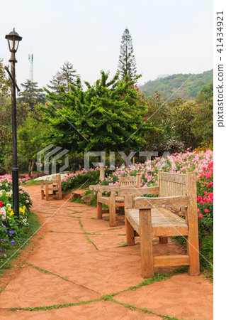 Bench wood in the garden. Bench wood in the garden. 41434921