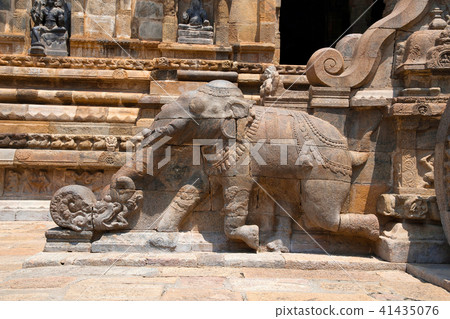 Elephant near steps Airavatesvara Temple Darasuram 41435076