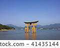 Otori at Itsukushima shrine 41435144