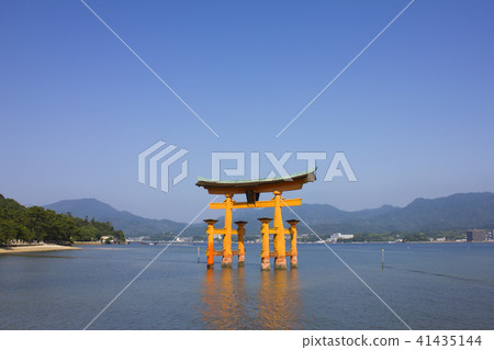 在嚴島神社的鳥取 在嚴島神社的鳥取 41435144