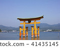 Otori at Itsukushima shrine 41435145