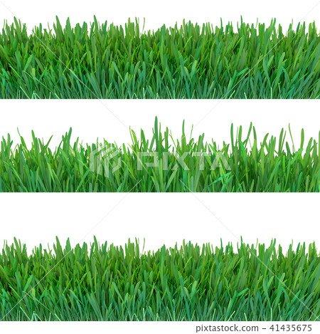 Green grass banners set. Nature background. Meadow. Spring, summer season. Plant growth 3d rendering Green grass banners set. Nature background. Meadow. Spring, summer season. Plant growth 3d rendering 41435675
