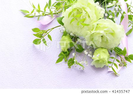 Supplied flowers of Turkey fennel Supplied flowers of Turkey fennel 41435747