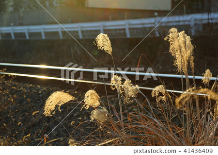 Autumn Railway 41436409