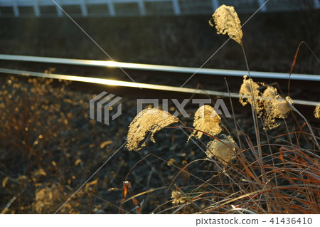 秋季鐵路 41436410