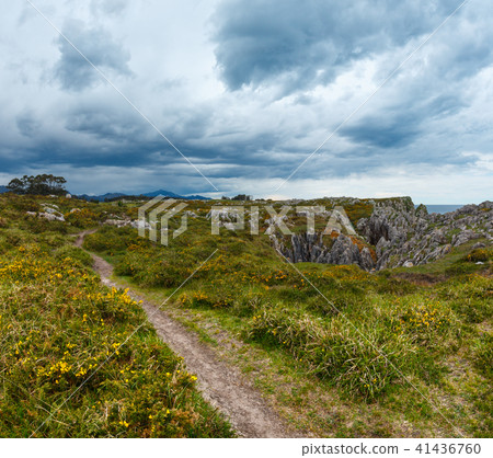 Summer rocky coast (Asturias, Spain). 41436760