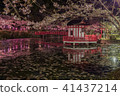 Mobara Park 41437214
