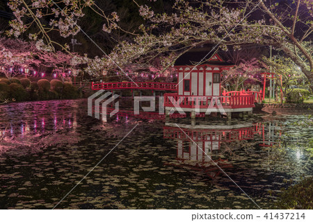 Mobara Park Mobara Park 41437214