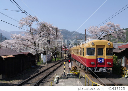 Oigawa Railway 3000 series Suruga Tokuyama 41437225