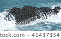 Wave on the rocks of the coastline 41437334