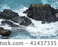 Wave on the rocks of the coastline 41437335