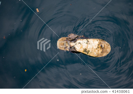 Crab and slippers Plastic waste on the sea  41438061