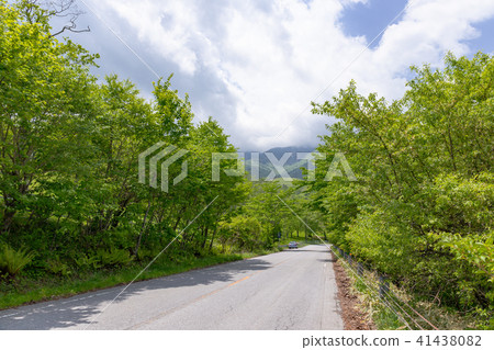 日光市栃木縣Kiritokogen高速公路(5月) 日光市栃木縣Kiritokogen高速公路(5月) 41438082