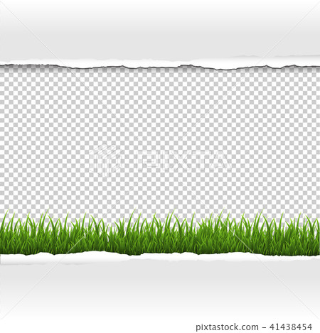 Green Grass And Ripped Paper Border Green Grass And Ripped Paper Border 41438454
